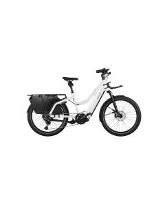 Riese & Müller Multicharger2 Mixte GT vario